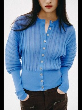 Zara Brand NWT - Blue Accordion Sleeve Sweater